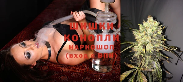 ГАЛЛЮЦИНОГЕННЫЕ ГРИБЫ Няндома