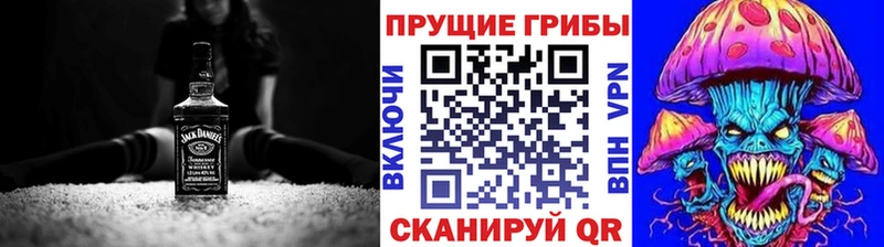 даркнет Telegram  Химки  Псилоцибиновые грибы Cubensis 